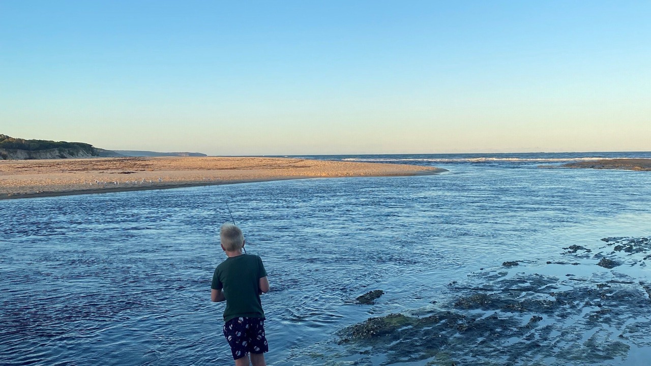 Photo of Others in Dolphin Point