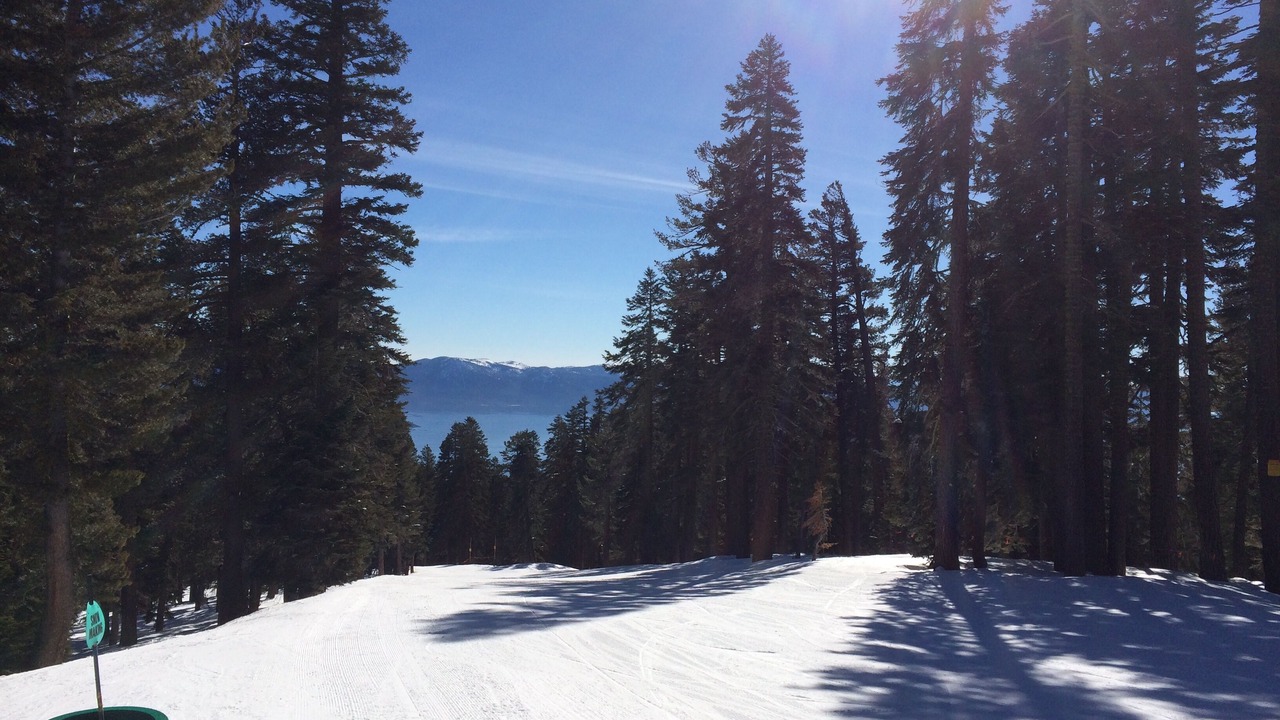 Photo of Others in Truckee