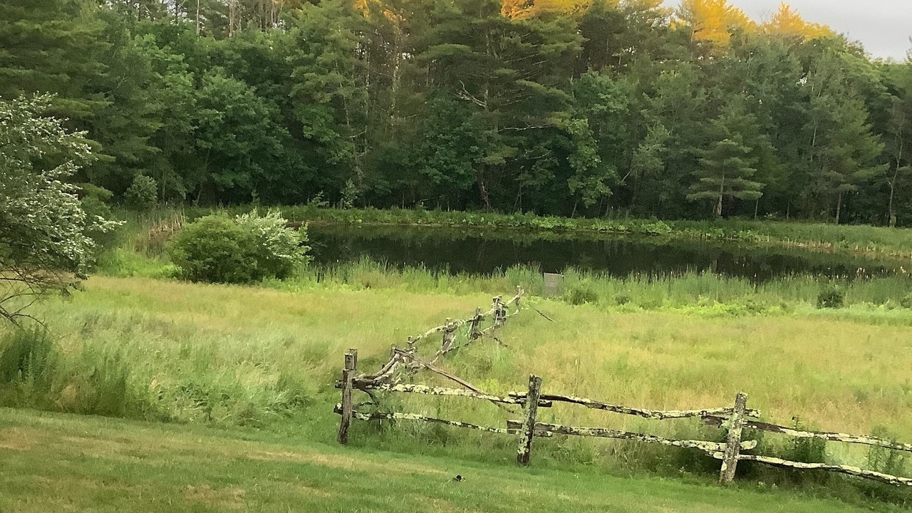 Photo of Others in Bowdoinham