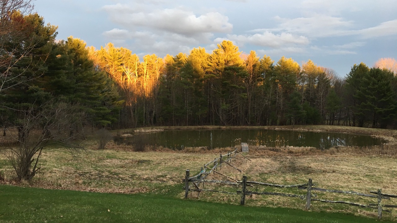 Photo of Others in Bowdoinham