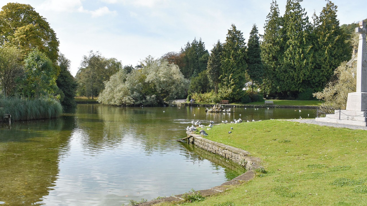 Photo of Others in Staveley