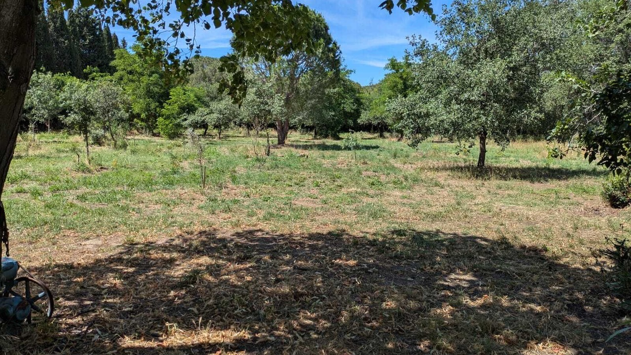 Photo of Outdoor in Montesquieu-des-Alberes