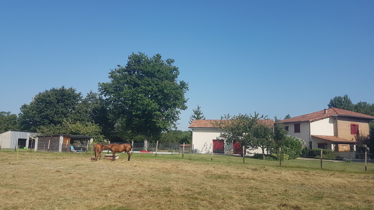 Photo of Others in Montbartier