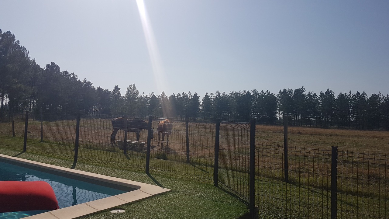 Photo of Outdoor in Montbartier
