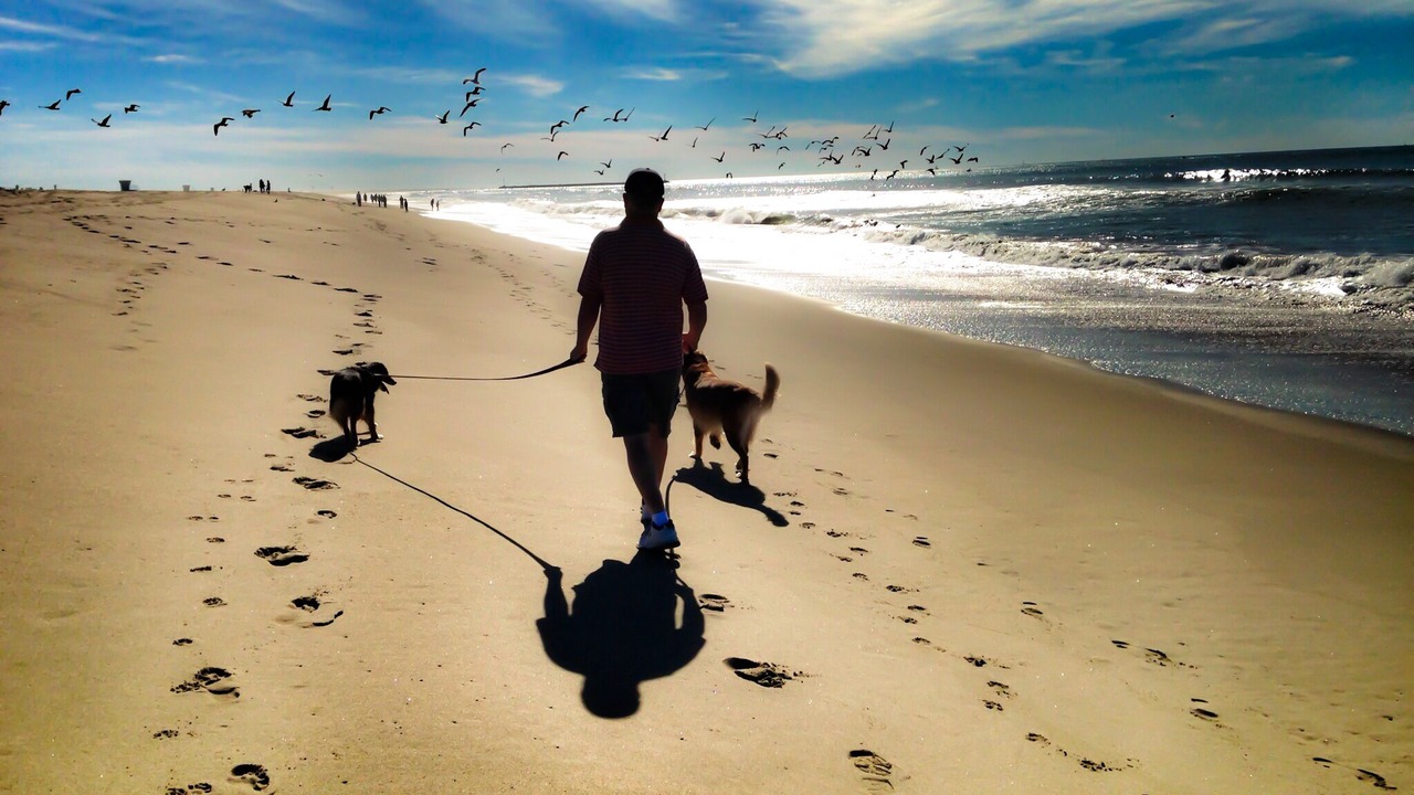 Photo of Outdoor in Silver Strand