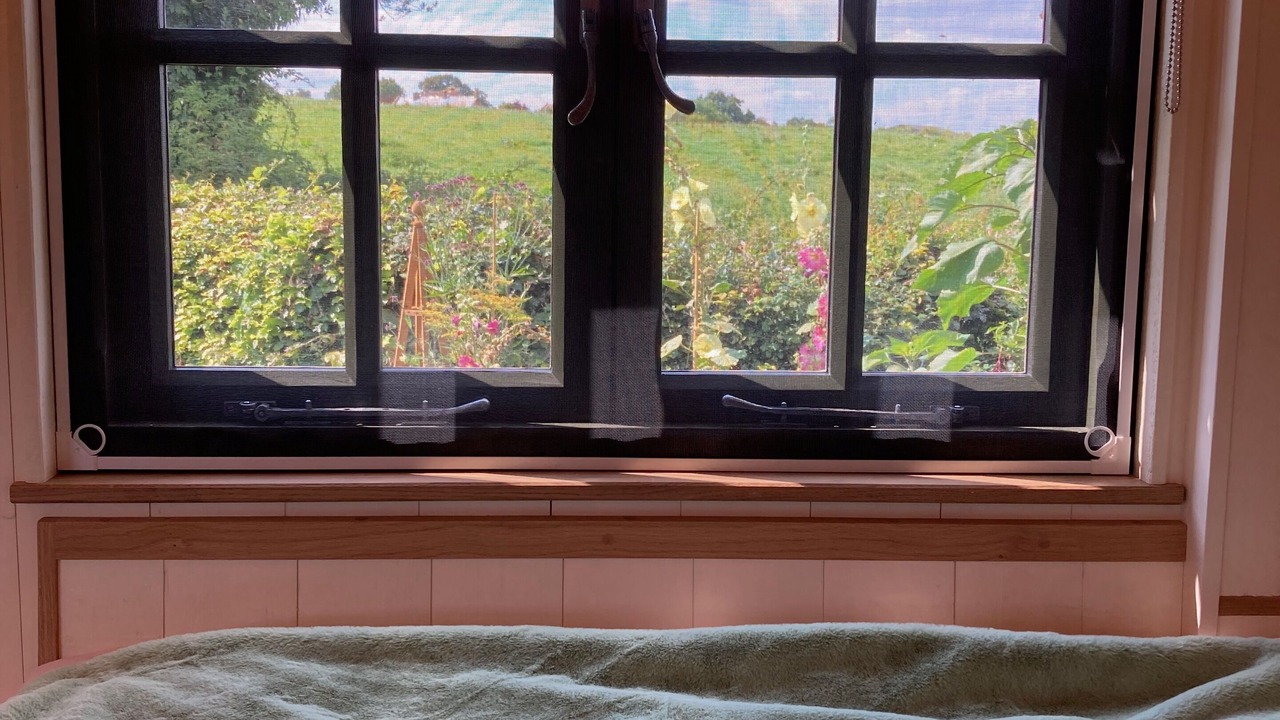 Photo of Others in Cricket Malherbie