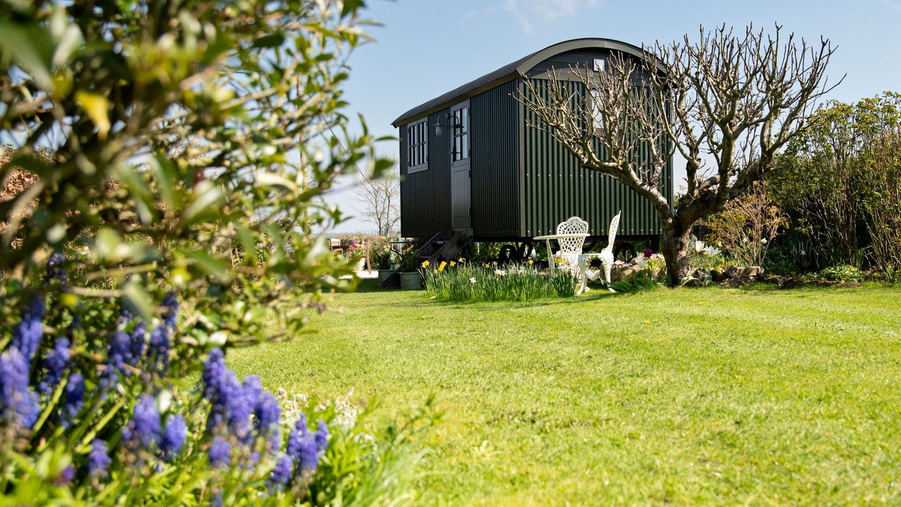 Photo of Others in Cricket Malherbie