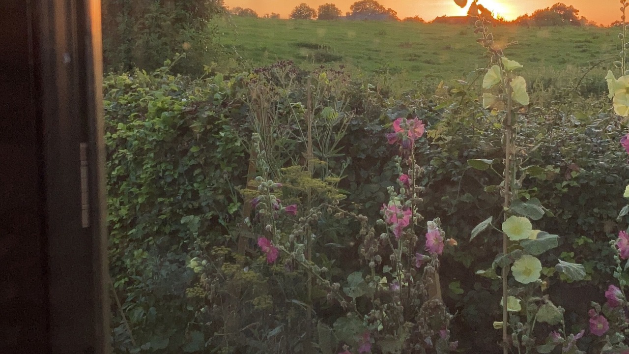 Photo of Others in Cricket Malherbie