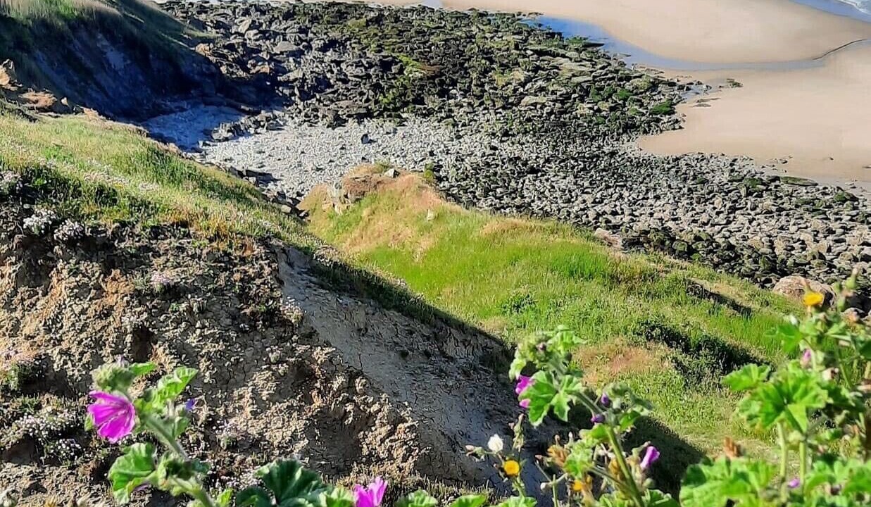 Photo of Others in Brunembert