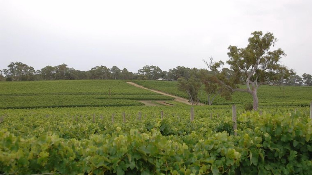 Photo of Outdoor in Woodside