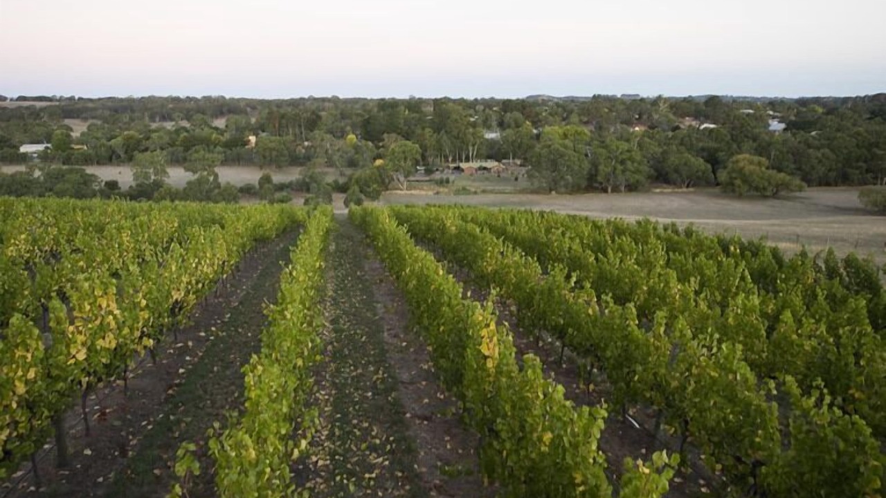 Photo of Outdoor in Woodside