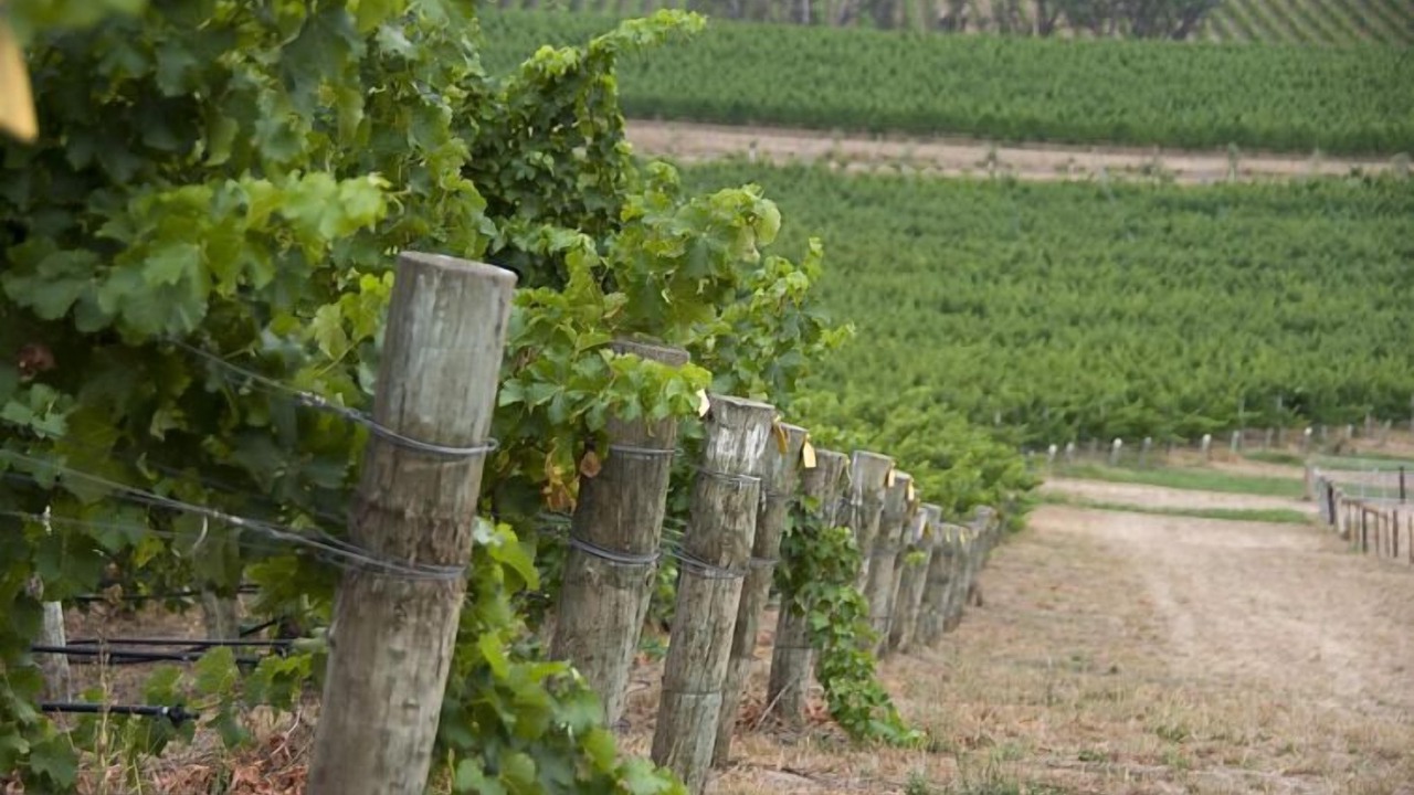 Photo of Outdoor in Woodside