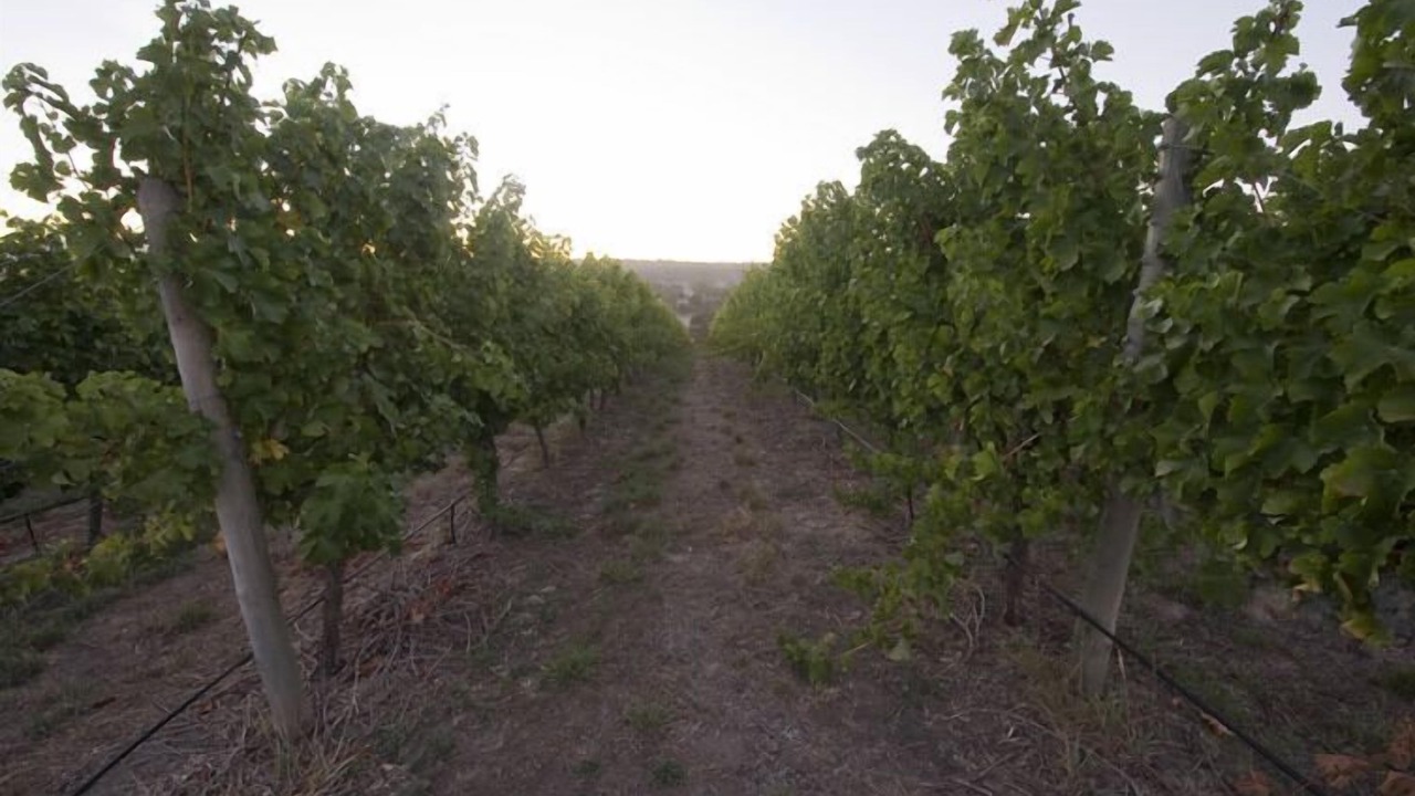 Photo of Outdoor in Woodside