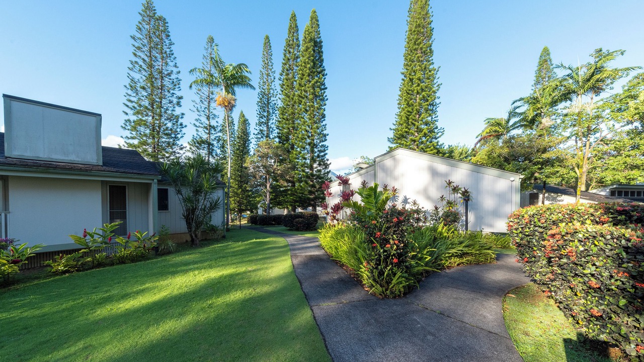Photo of Outdoor in Princeville
