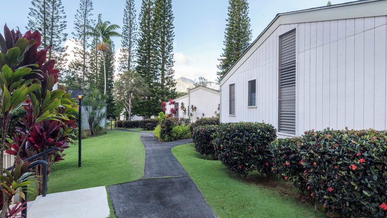 Photo of Outdoor in Princeville