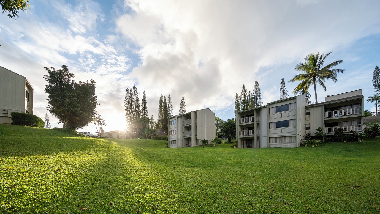 Photo of Outdoor in Princeville