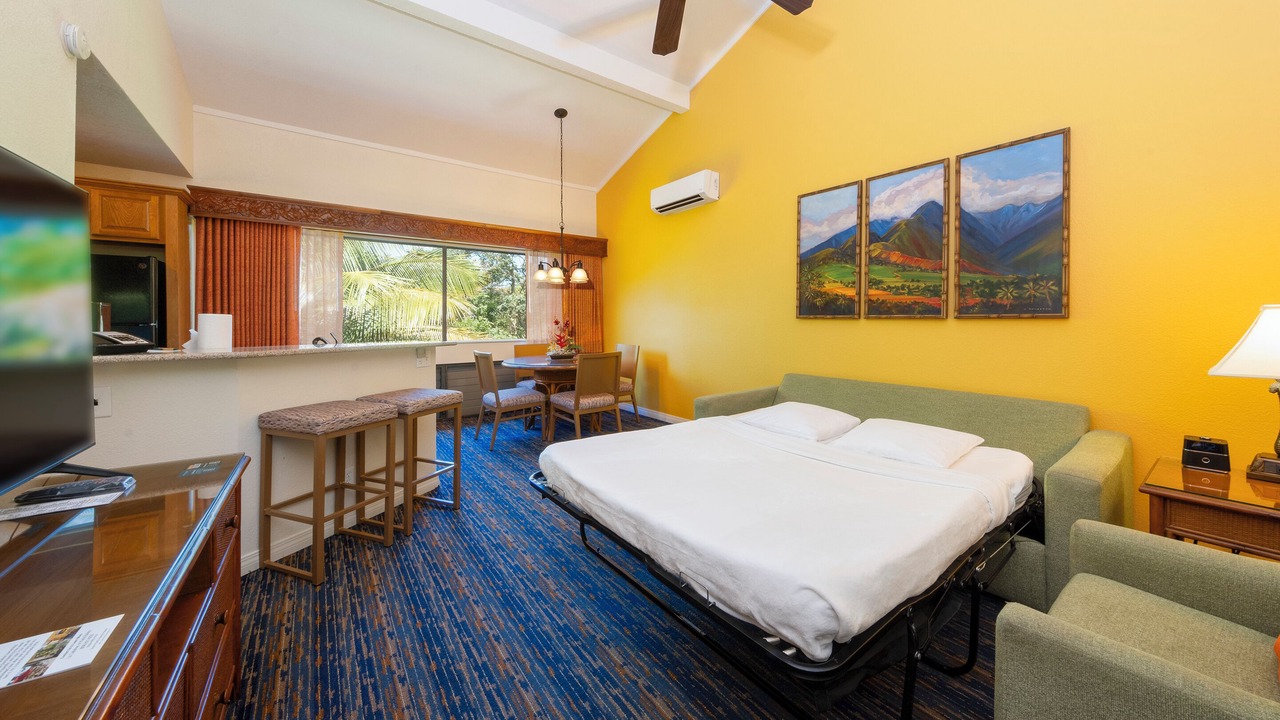 Photo of Livingroom in Princeville