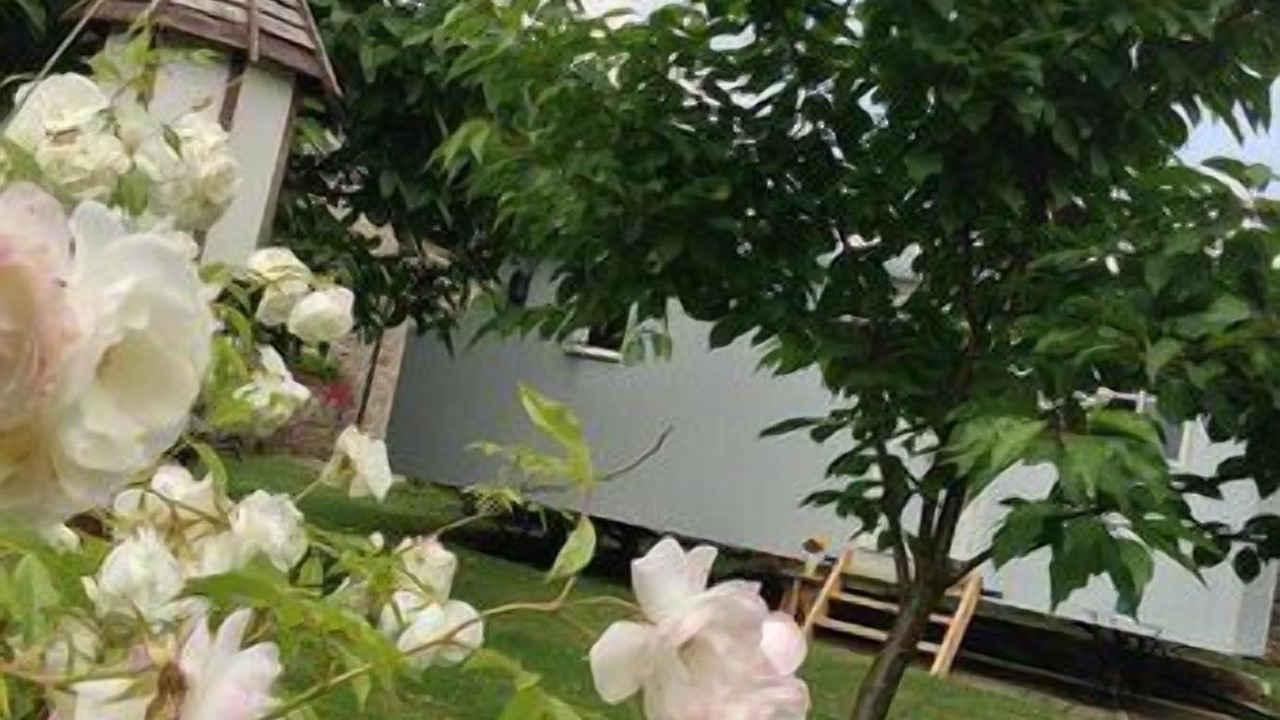 Photo of Outdoor in Falstone