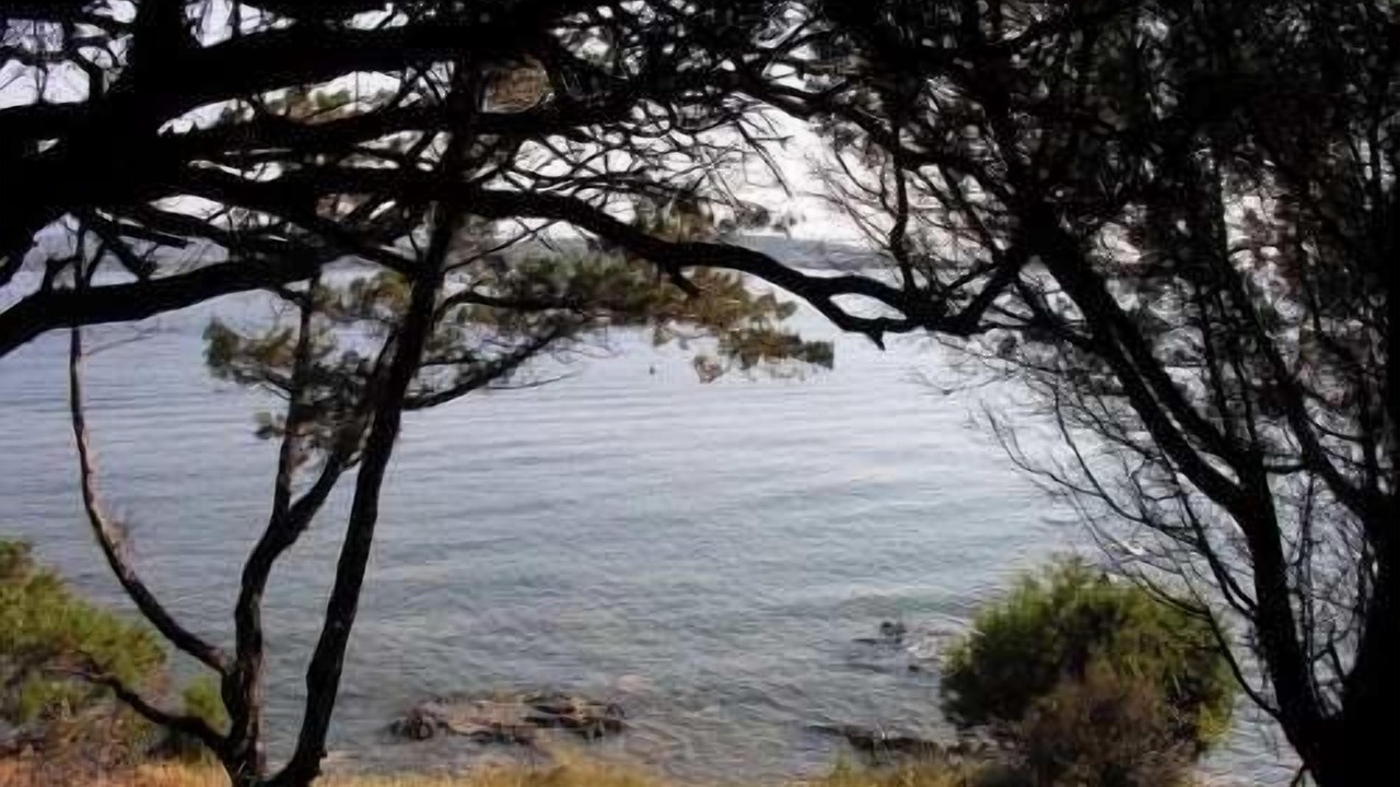 Photo of Outdoor in Porto-Vecchio