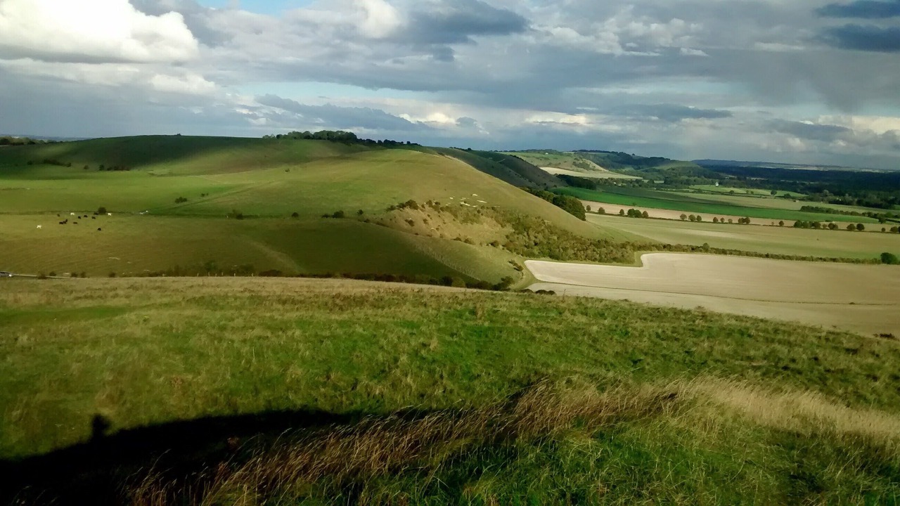 Photo of Others in Alton Barnes