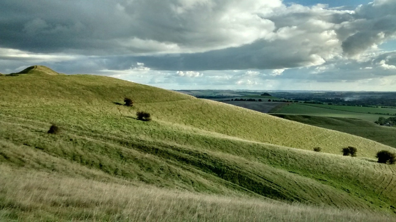 Photo of Others in Alton Barnes