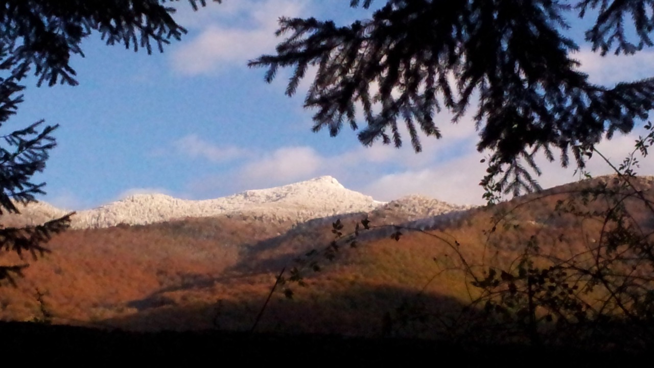 Photo of Others in Ore