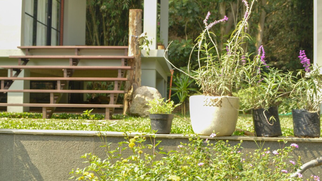 Photo of Outdoor in Parongpong