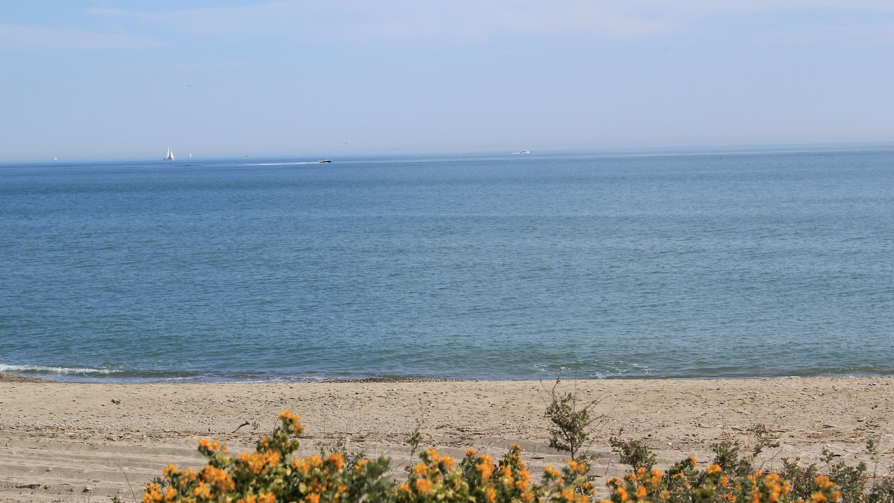 Photo of Others in Saint-Cyprien