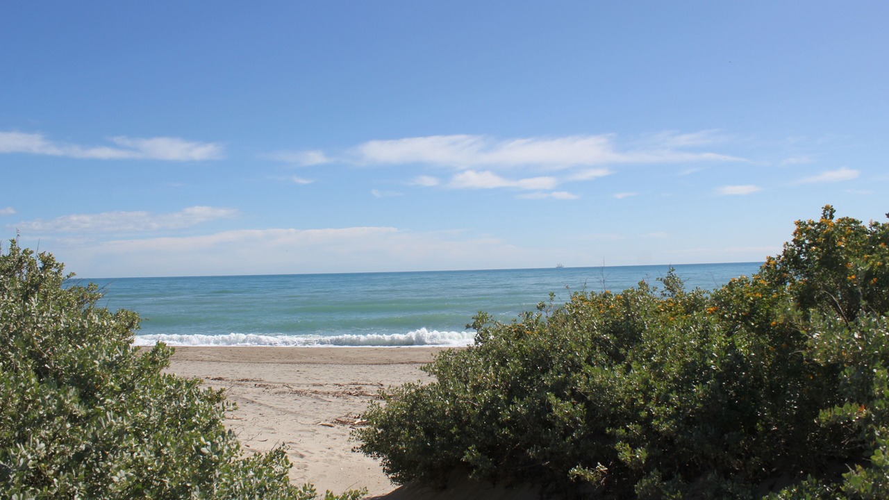 Photo of Others in Saint-Cyprien