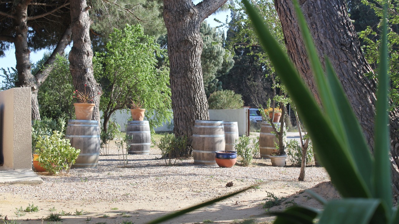 Photo of Outdoor in Saint-Cyprien