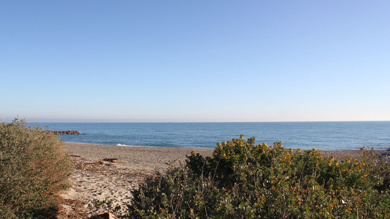 Photo of Others in Saint-Cyprien