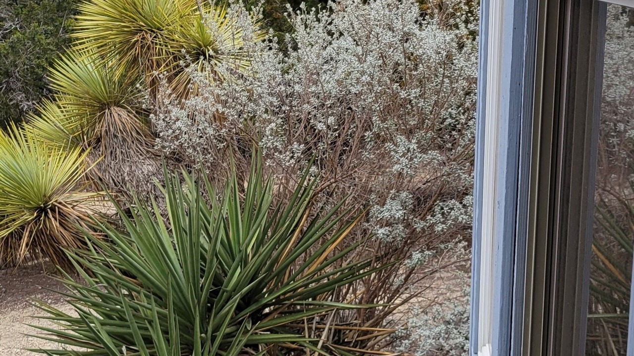 Photo of Outdoor in Comfort