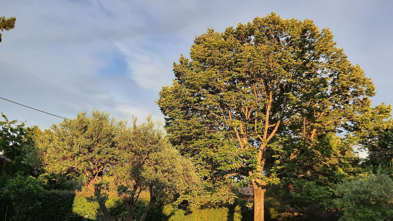 Photo of Outdoor in Villecroze