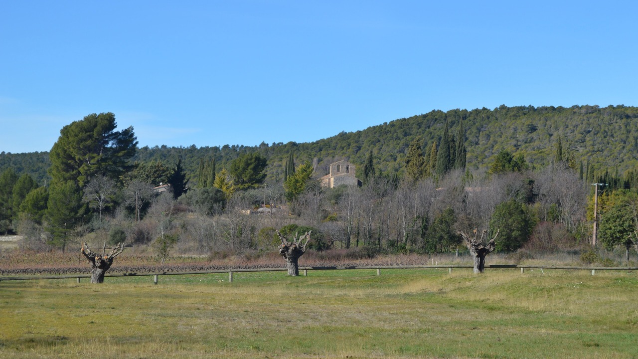 Photo of Outdoor in Villecroze