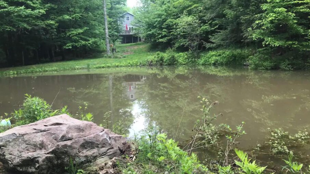 Photo of Outdoor in West Kill