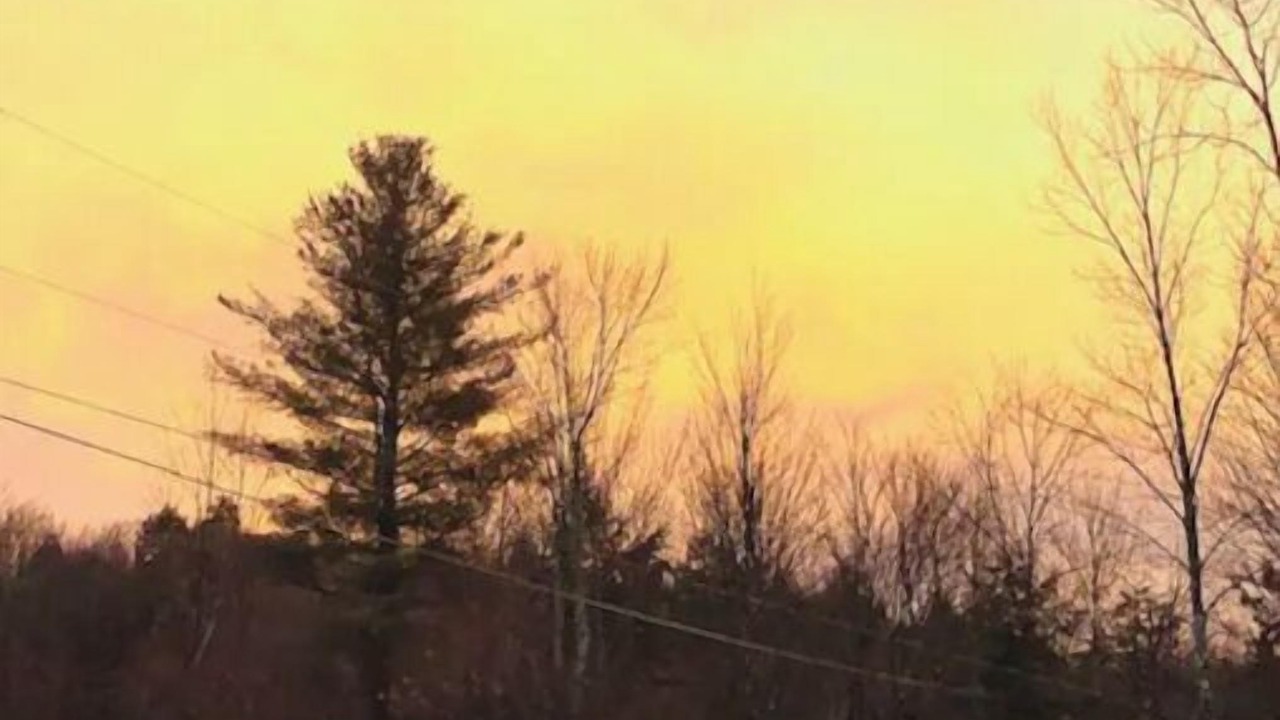 Photo of Others in West Kill