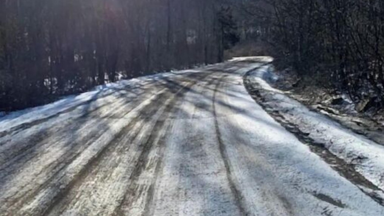 Photo of Others in West Kill