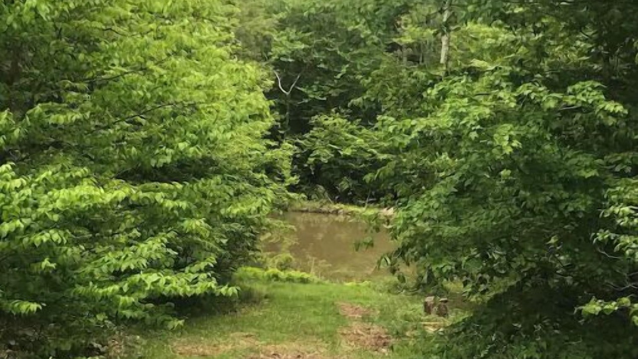 Photo of Outdoor in West Kill