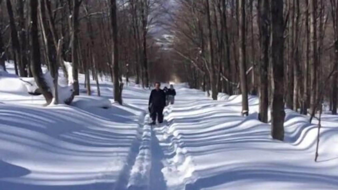 Photo of Others in West Kill