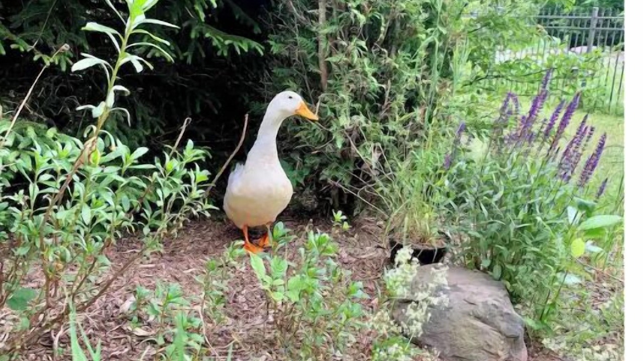 Photo of Outdoor in West Kill