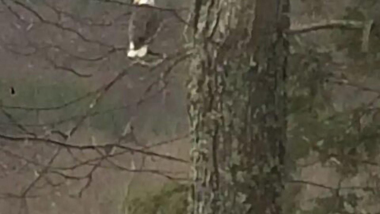 Photo of Others in West Kill