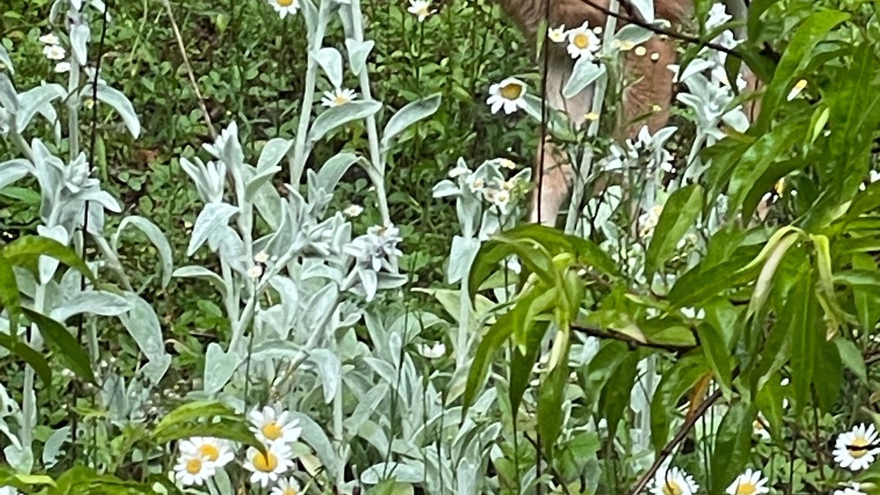 Photo of Outdoor in West Kill