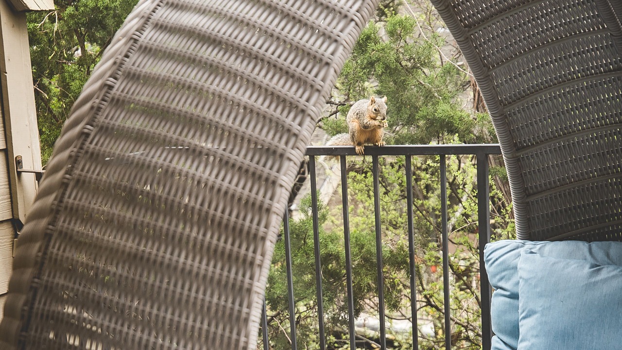 Photo of Outdoor in Barton Hills