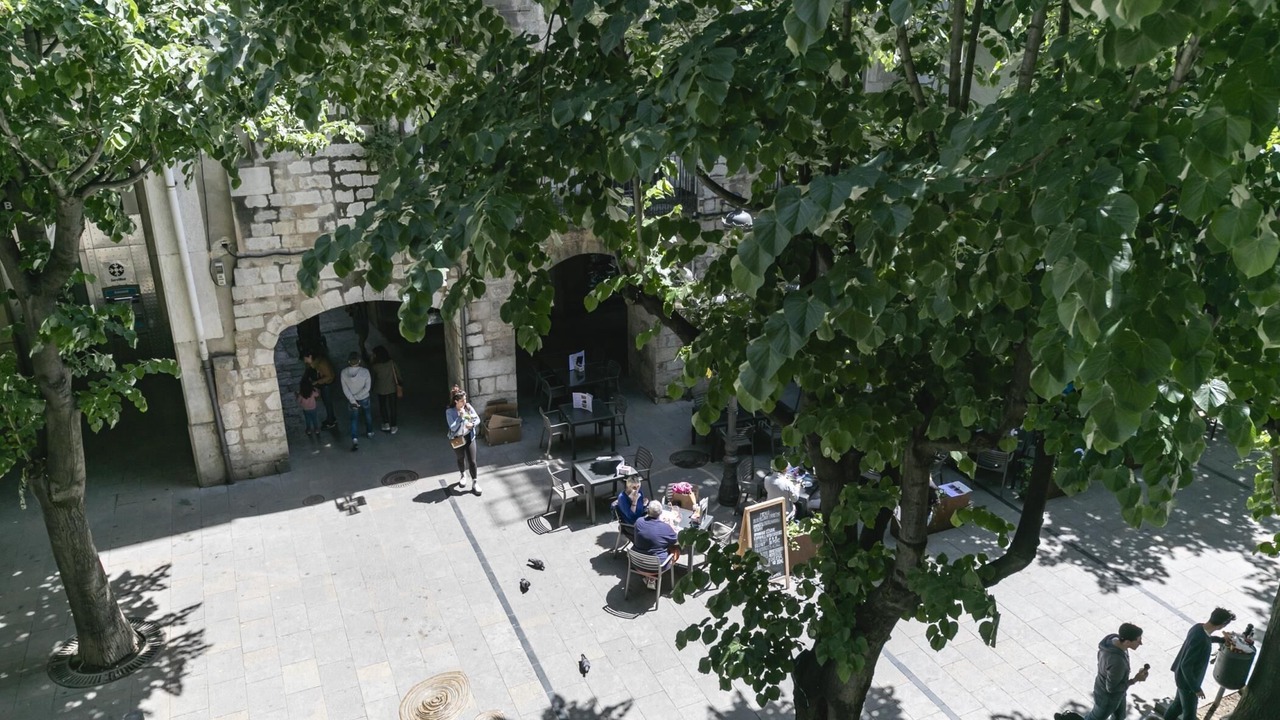Photo of Outdoor in Old Town