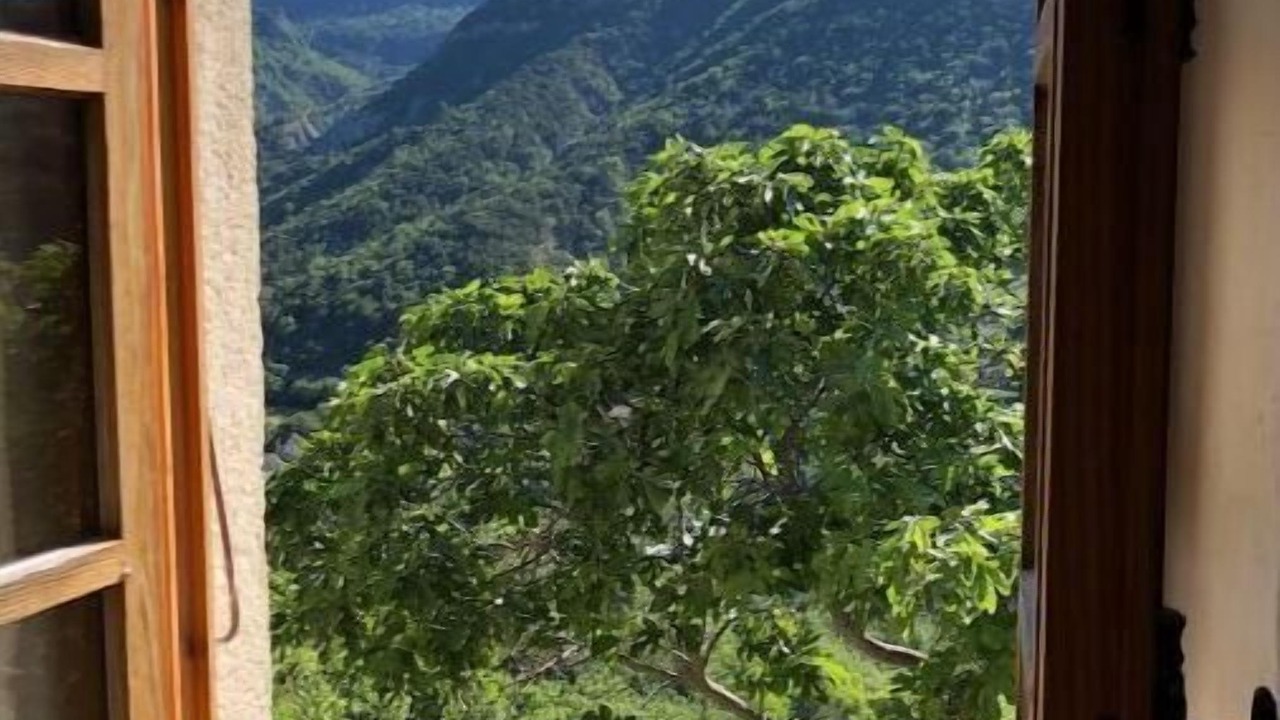 Photo of Others in Montaulieu