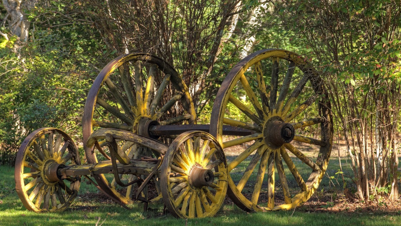 Photo of Outdoor in Edgartown