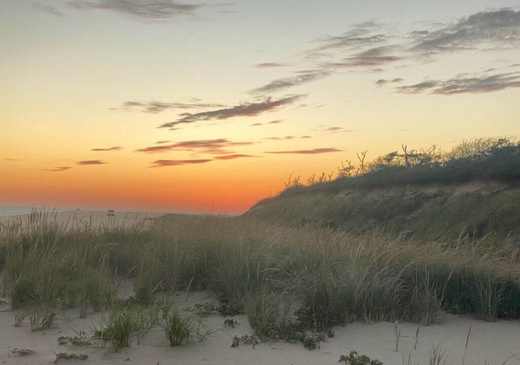 Photo of Others in Edgartown