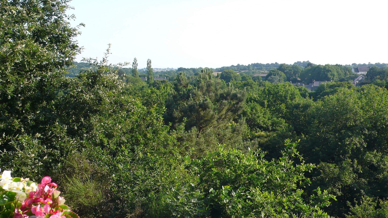 Photo of Outdoor in Muzillac