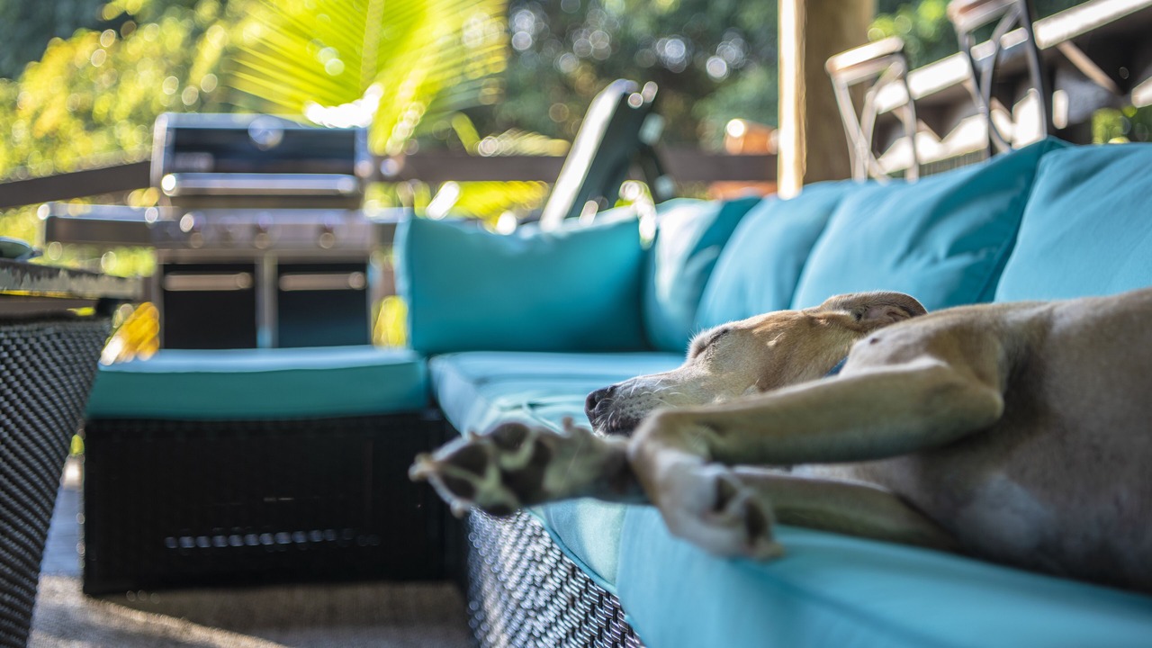 Photo of Outdoor in Boynton Beach