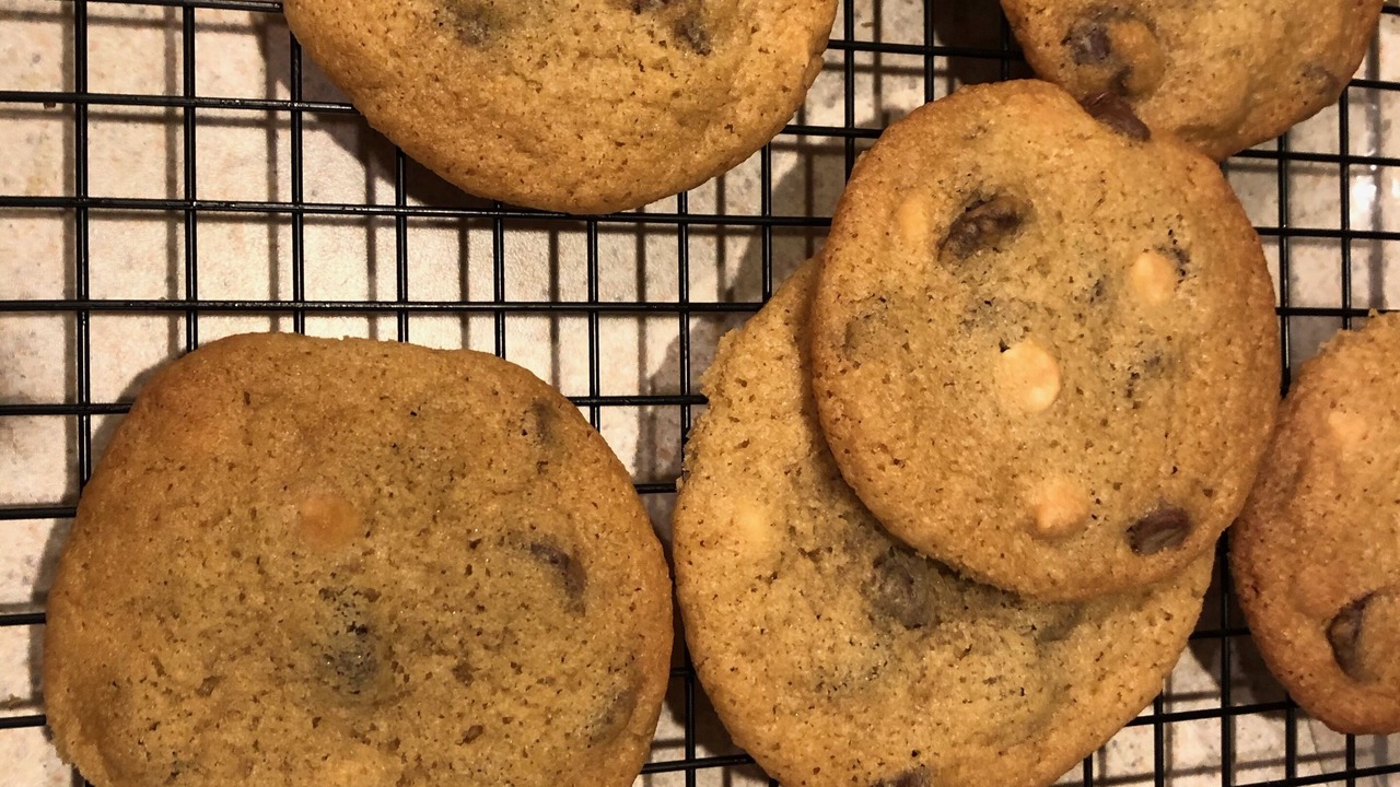 Photo of Others in Sagamore Beach